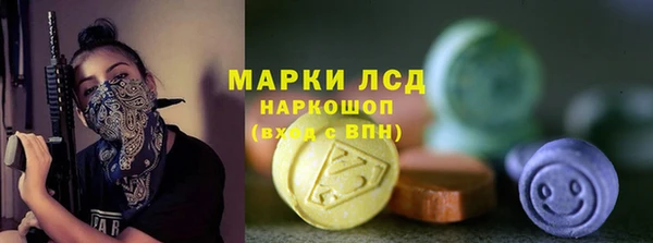 сатива Снежногорск