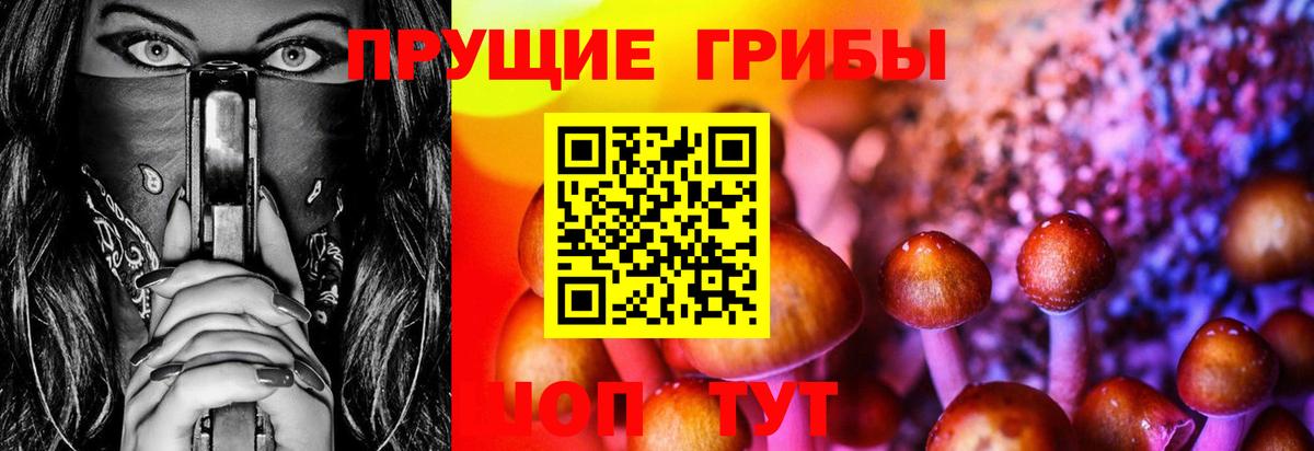 Юрга  Псилоцибиновые грибы GOLDEN TEACHER  Псилоцибиновые грибы MAGIC MUSHROOMS  Вход с VPN 